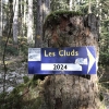Cluds